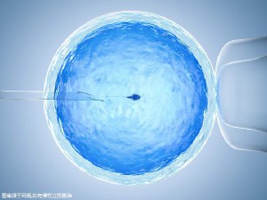 王主任